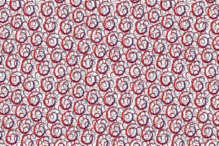 Circles Organized Vector Pattern Design